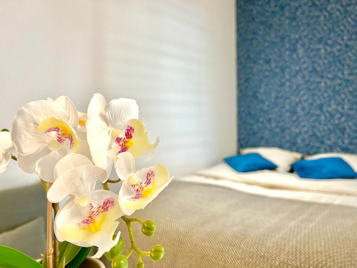 Cocon Luxe - Sauna & Balneo Au Coeur De Reims Dış mekan fotoğraf